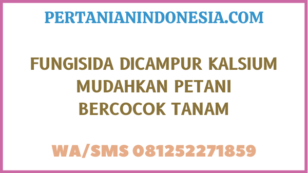 Fungisida Dicampur Kalsium Mudahkan Petani Bercocok Tanam